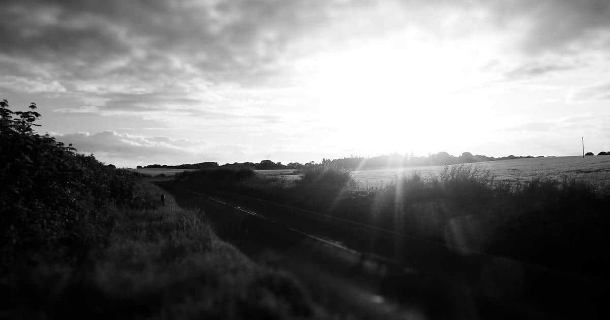 Build Your Delulu Prestige TV Show & We’ll Reveal Your Inner Unhinged Antihero