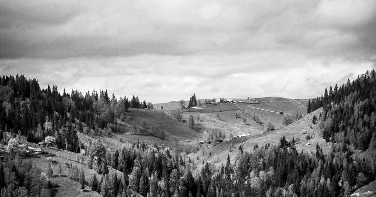 We’ll Guess Your Life Expectancy Based On Your Dessert Chaos Levels